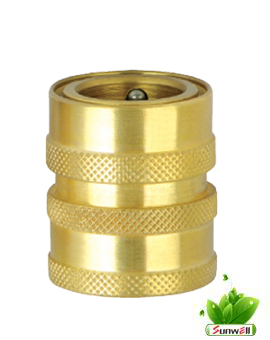 Brass female adaptor